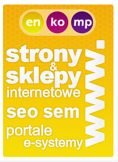strony i sklepy internetowe, pozycjonowanie bielsko